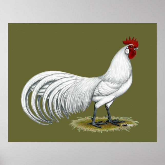 Póster Phoenix: White Rooster (Frente)