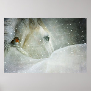 Poster Photo of a White Horse and Bird in Winter