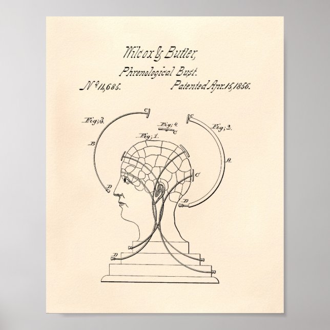 Poster Phrenology Bust 1856 Patent Art Old Peper (Frente)
