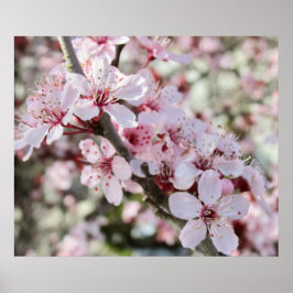 Poster Pia Brilhante, Cola Vermelha.