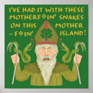 Poster Piada de Cobras do Dia de São Patrício Verde Irl