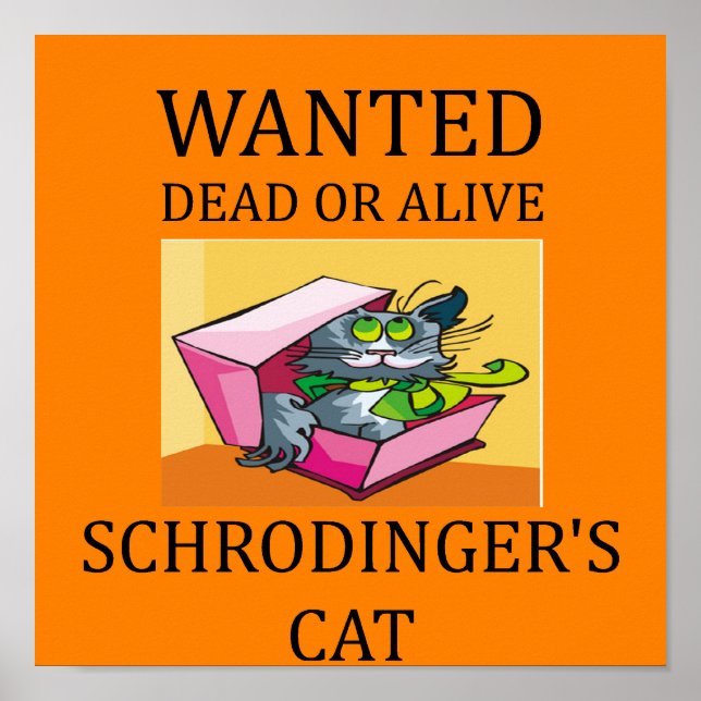 Póster piada de gato de Schrodinger (Frente)