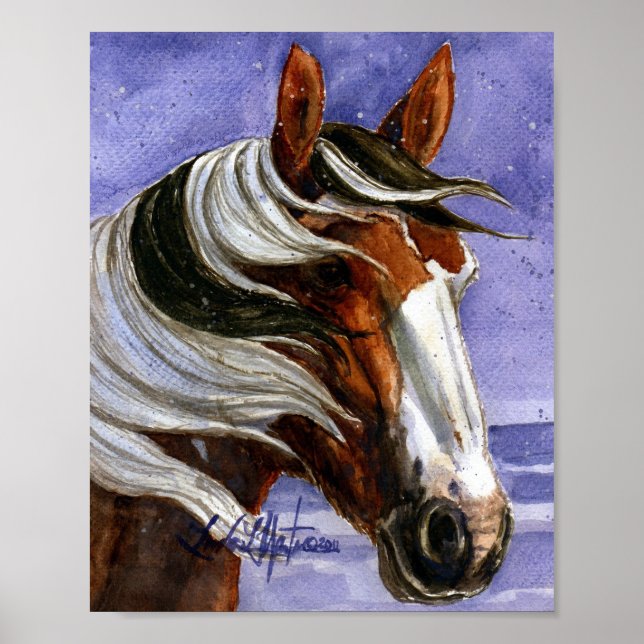 Poster Picasso de Sand Wash Basin HMA (Frente)