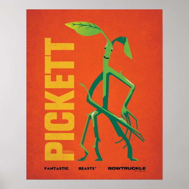 Poster Pickett Vintage Graphic (Frente)