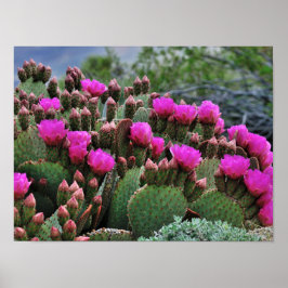 Poster Picle Pear Cactus em Papais noeis de Sangue Fe NM