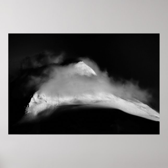 Poster Pico de aves cobertas (Frente)