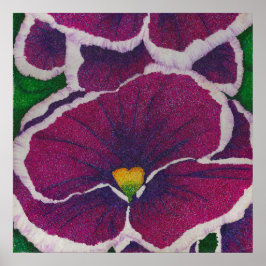Poster Picottee Pansy