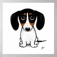 Piebald Dachshund | Cachorro-branco
