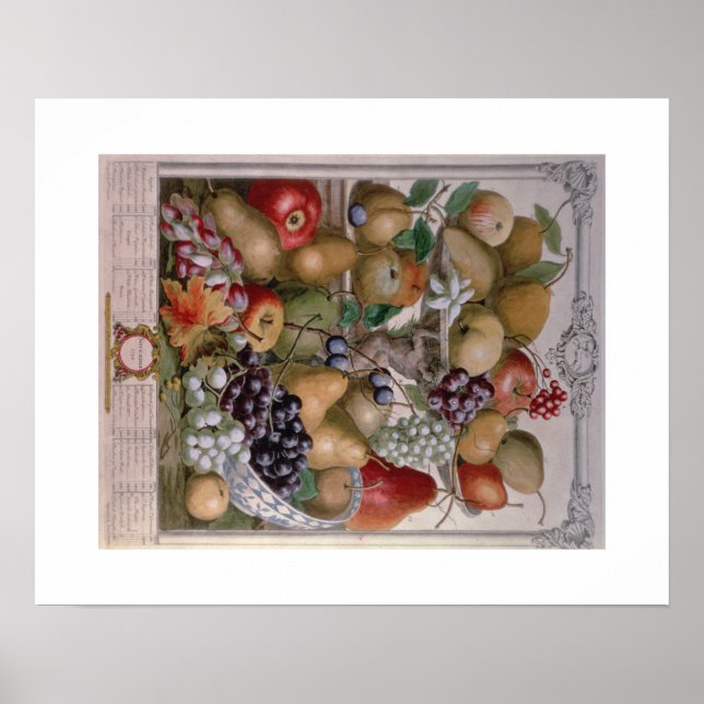 Poster Pieter Casteels, 12 meses de Frutas novembro (Frente)