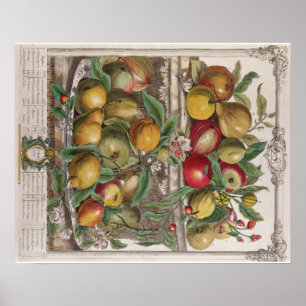 Póster Pieter Casteels, doze meses das frutas, abril