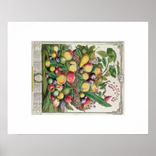 Póster Pieter Casteels, doze meses das frutas, julho