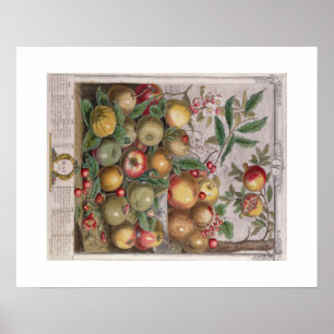 Poster Pieter Casteels, doze meses das frutas, pode