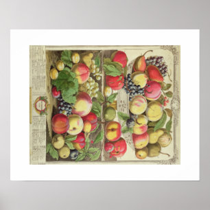 Poster Pieter Casteels, doze meses das frutas setembro