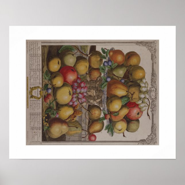 Póster Pieter Casteels, Doze Meses de Fruta, dezembro (Frente)