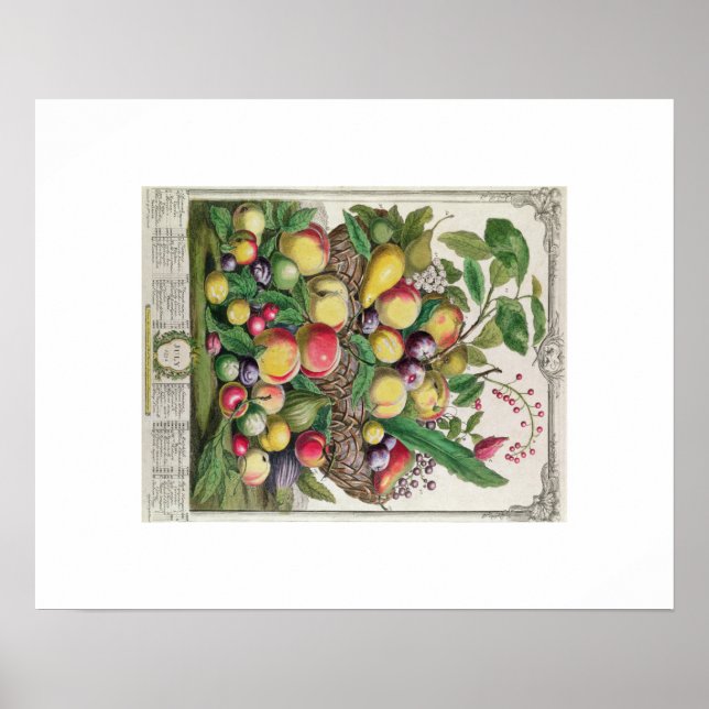 Póster Pieter Casteels, doze meses de Frutas, julho (Frente)