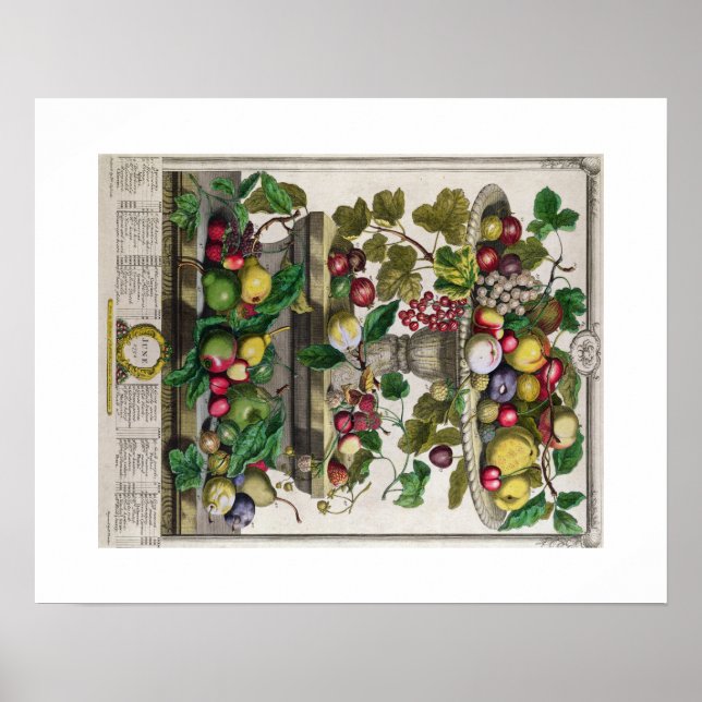 Póster Pieter Casteels, doze meses de Frutas, junho (Frente)