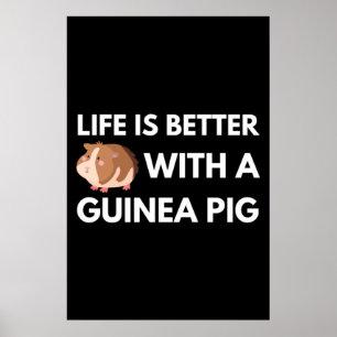 Poster Pig Lover da Guiné