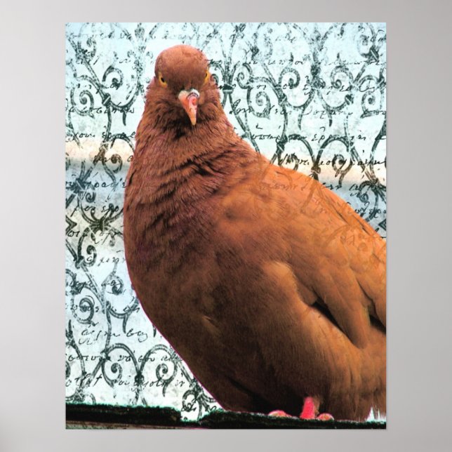 Póster Pigeon Art (Frente)