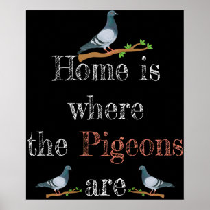 Poster Pigeon Lover Pigeon Racing Gift Pigeon Reprodução
