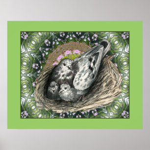Poster Pigeon Nest