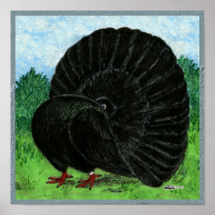 Póster Pigeon Preto