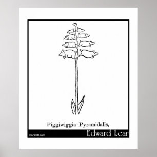 Póster Piggiwiggia Pyramidalis.