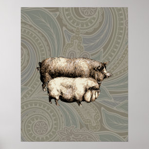 Póster Pigres Antigos Desenho de piggy da vindima