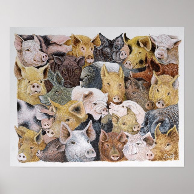 Poster Pigs Galore (Frente)