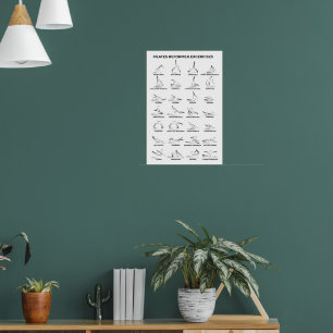 Poster Pilates Reformer Exercícios