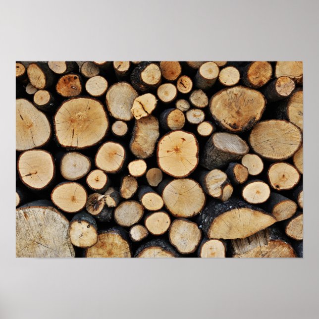 Poster Pilha de logs de árvore (Frente)