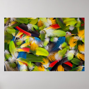 Poster Pilha de penas coloridas
