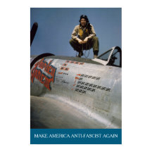 Piloto Americano da Segunda Guerra Mundial MAAFA