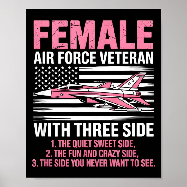 Poster Piloto de caça patriota americana da força aérea f (Frente)