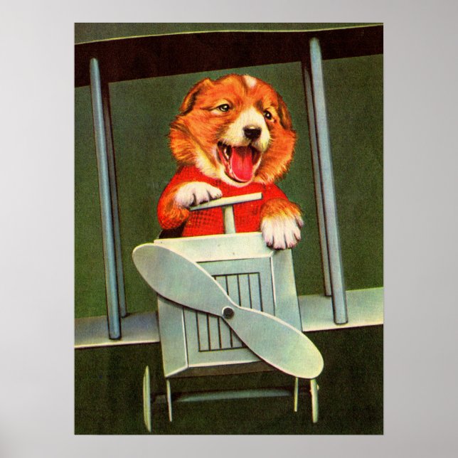 Poster piloto de cães (Frente)