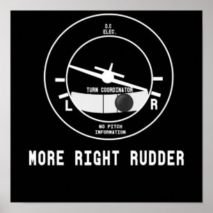 Poster Piloto De Instrutor De Voo Cfi Mais Direto
