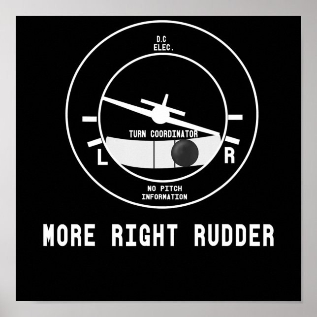 Poster Piloto De Instrutor De Voo Cfi Mais Direto (Frente)