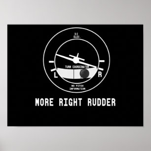 Poster Piloto De Instrutor De Voo Cfi Mais Direto