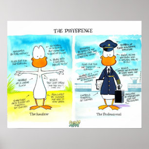 Poster piloto e amador das diferenças