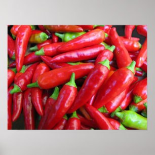 Póster Pimentas da malagueta picante