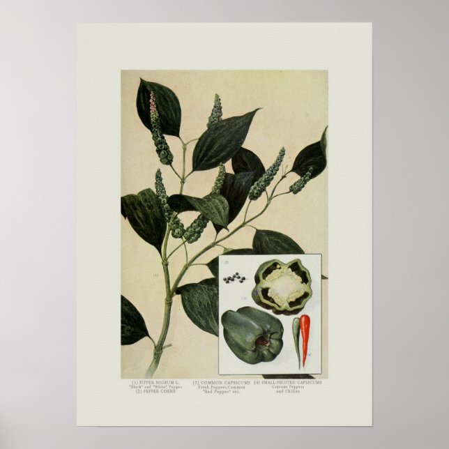 Póster Pimentos (Frente)