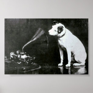 Poster Pinça original