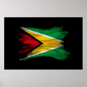 Poster Pincel da bandeira da Guiana derrame, bandeira nac