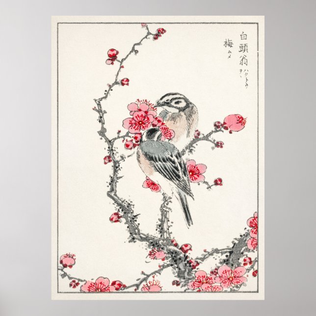 Poster Pine Bunting em Plum Tree por Numata Kashu (Frente)