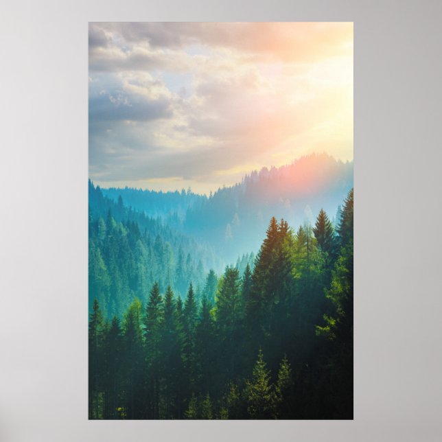 Poster Pine Forest in the Dolomites, Itália (Frente)