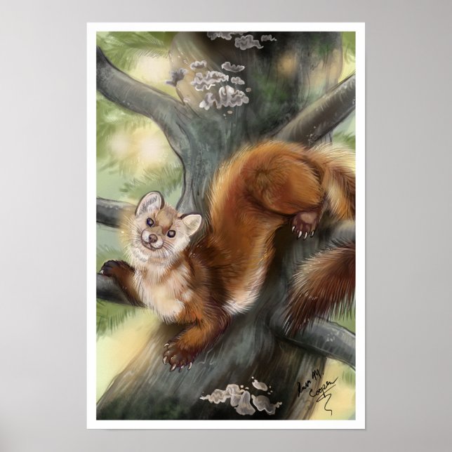 Poster Pine Marten (Frente)