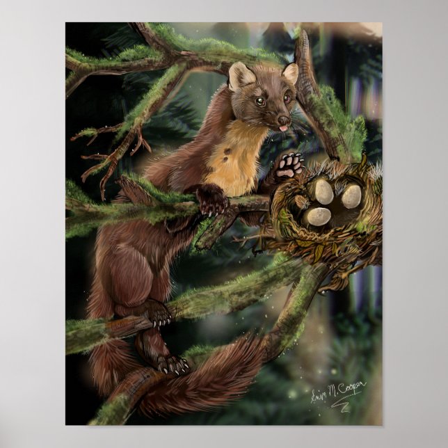 Poster Pine Marten Europeu (Frente)