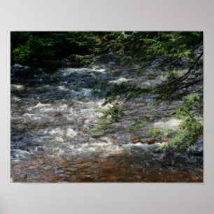 Póster Pine Tree Ramifica Sobre Rapids No Stream Orton