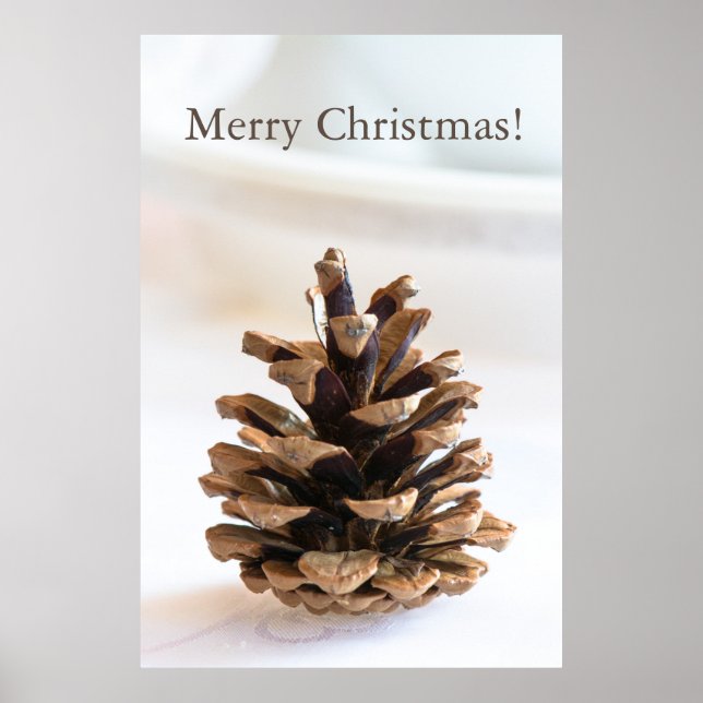 Poster Pinecona (Frente)