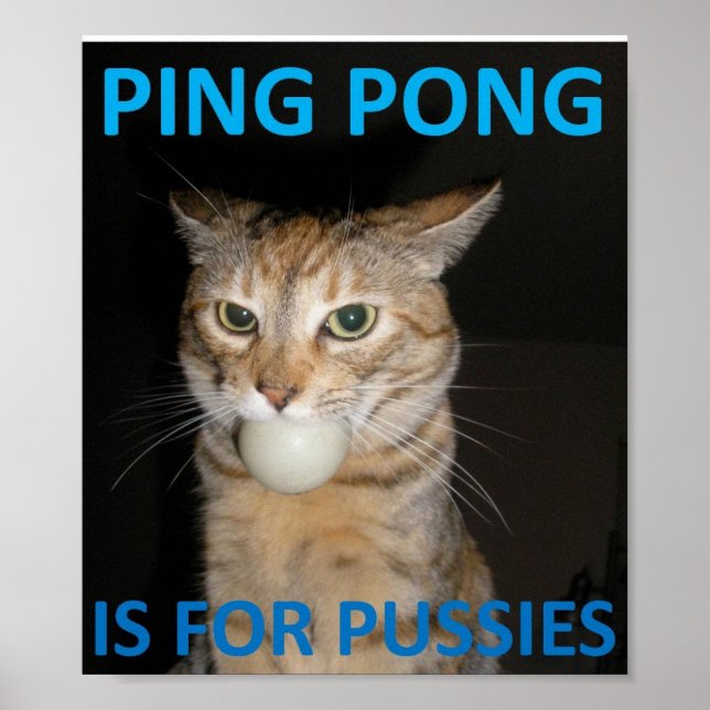 Póster Ping Pong É Para Fussias (Frente)