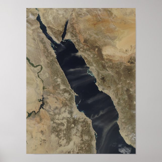 Póster Pingentes de poeira sobre o mar Vermelho (Frente)